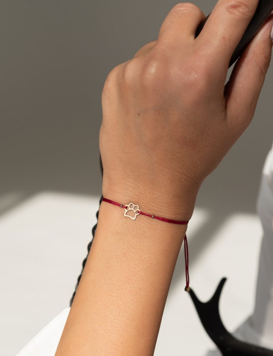 Pet bracelet